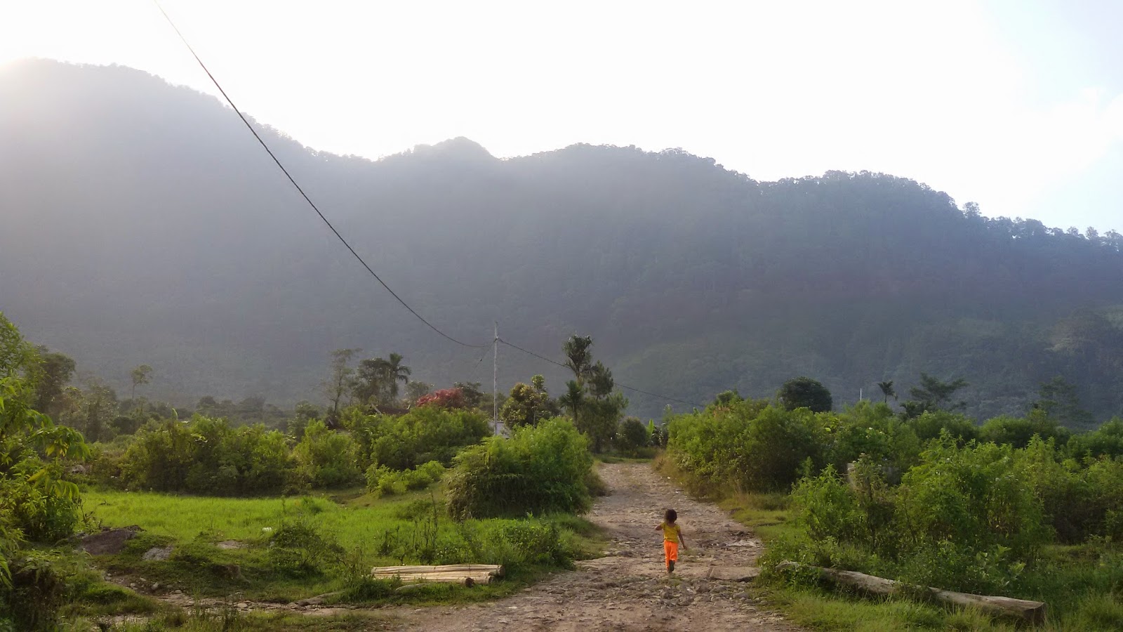 GoDeKs faMiLy: TAMAN NASIONAL GGUNUNG LEUSER