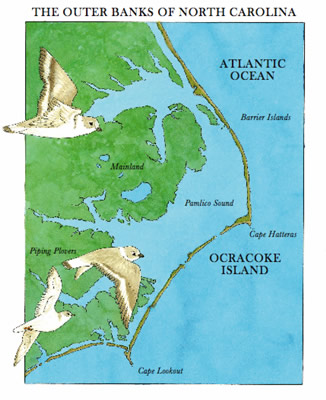 Barrier Island North Carolina1