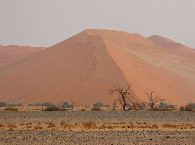 panorama nel  Parco Nazionale Namib-Naukluft