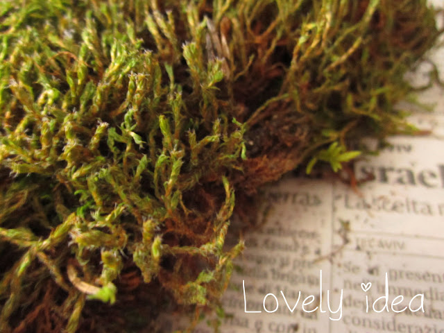 moss hearts