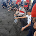 Kapolsek Sukawati Hadiri Pelepasan Tukik Dan Pembukaan Lembeng Beach Vibration