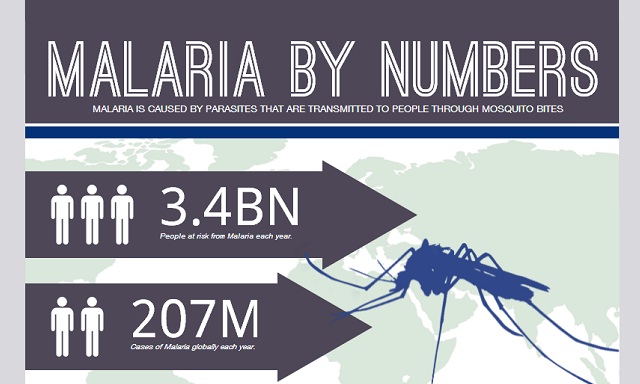 Image: Malaria By Numbers