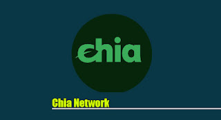 Chia Network, XCH coin