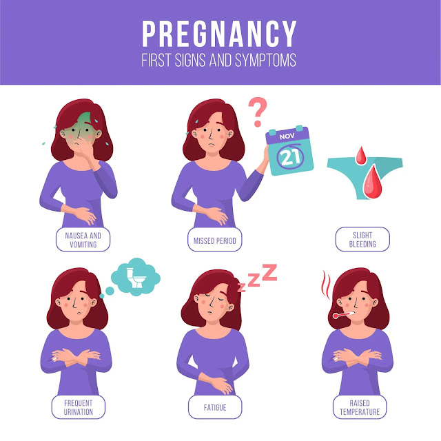 Probable signs of pregnancy