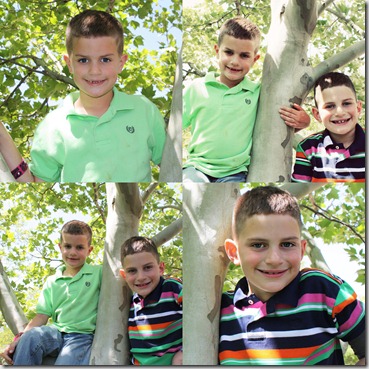 Collages13