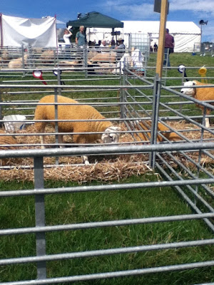 okehampton show