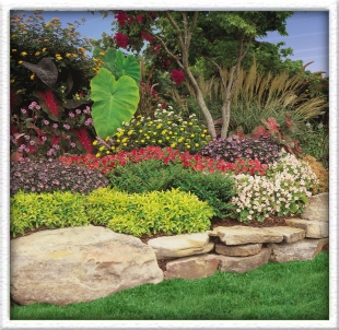 Do It Yourself Landscaping Design