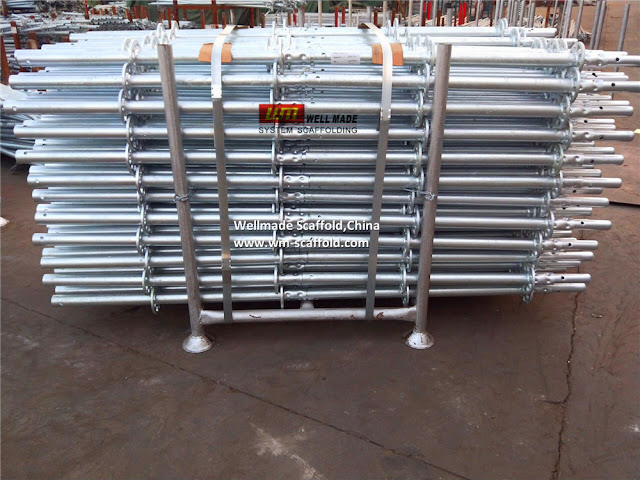 construction scaffolding modular ring system standard vertical - concrete formwork steel support ringlock galvanized pin lock scaffold components 
