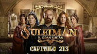 CAPITULO 213