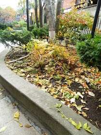 Garden District Toronto Fall Cleanup Before by Paul Jung Gardening Services--a Toronto Organic Gardener