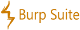 Burp Suite - Web Vulnerability Scanner