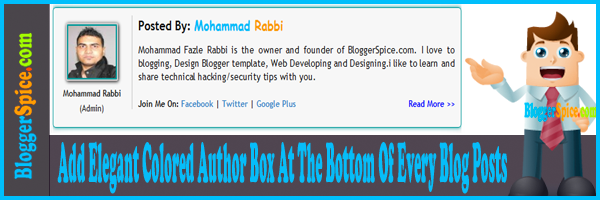 Blog Author box