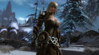 Guild wars 2