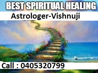 http://www.astrologervishnuji.com/