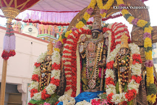 Ippasi Thirumoolam,Sattrumurai, Manavala Maamunigal,Purappadu,2016, Video, Divya Prabhandam,Triplicane,Thiruvallikeni,Utsavam,