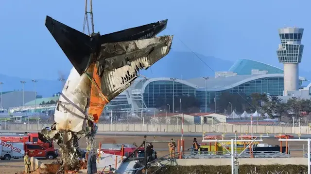 تحطم طائرة جيجو، حادثة بوينغ 737-800، كوريا الجنوبية، اصطدام الطائرة بالطيور، تحقيقات الطيران، أمان المطارات، إدارة الطيران الفدرالية، فحص مدارج الهبوط، السلامة الجوية، طيران منخفض التكلفة، حوادث الطائرات.