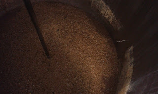 Hops at the bottom of the Boil Kettle