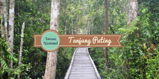 Taman Nasional Tanjung Puting