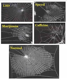 Your Brain on Caffeine