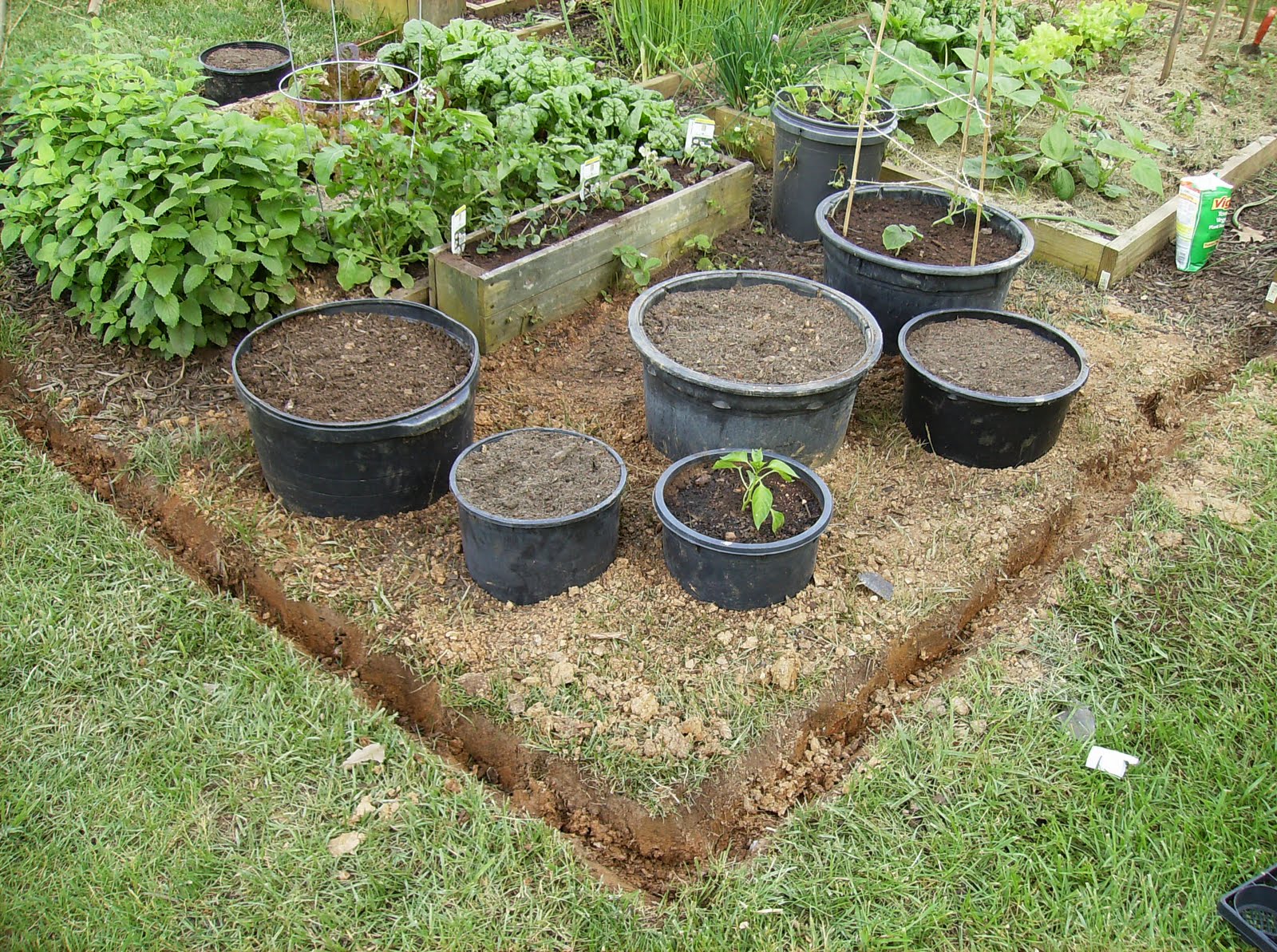 Rusted Vegetable Garden