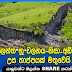 නවසීලන්ත භූ චලනය නිසා අඩි 15ක්‌ උස තාප්පයක්‌ මතුවෙයි