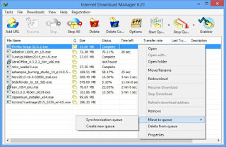 Internet Download Manager (IDM) 6.25 Build 12