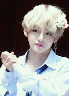 Kim Taehyung (V) Facts