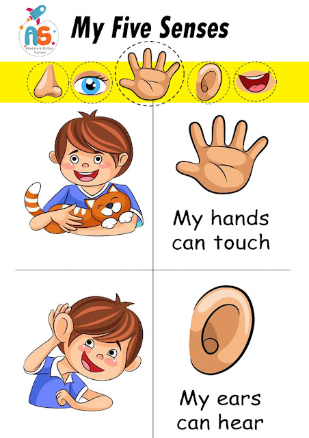 Five Senses Activity for Preschool