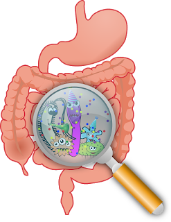 The first suitable drug for treating diarrhoea in infants