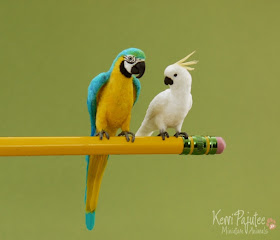 05-Parrots-Kerri-Pajutee-Miniature-Sculpture-that-look-Real-www-designstack-co