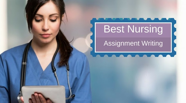 Which is the best service provider for a Nursing Assignment?