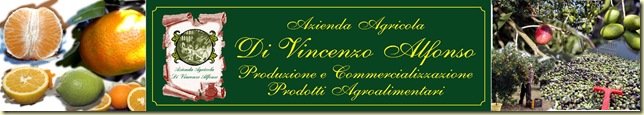 Logo internet leggero di vincenzo
