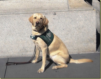 Reyna sitting very tall and proud in front of the Ferry building in SF.