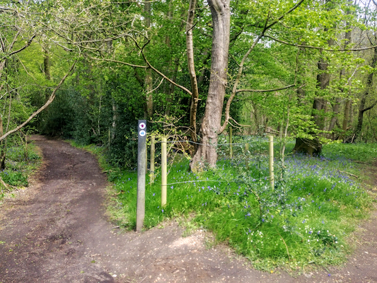 Sandridge restricted byway 1 on the western edge of Symondshyde Great Wood