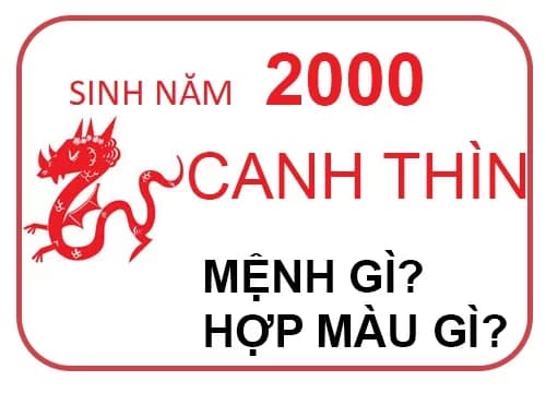 Sinh năm 2000 là tuổi con gì? Mệnh gì? Hợp tuổi nào?