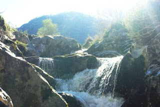 Cangas de Onís, ruta vega de Orandi, río Las Mestas