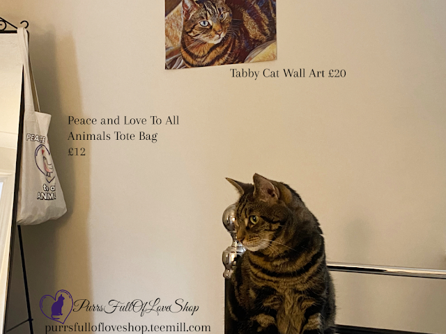 tabby cat posingin front of her art photo