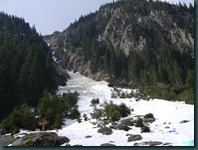 DSCN4381