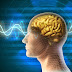 EQ ve IQ Testi Çöz.