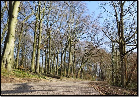 1242woods3