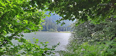 Día de La Tierra 2020 - Lago de Estaing