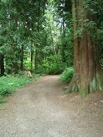 a walk in the woods can help you relax and hear your intuition