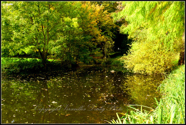 Parc du Cénacle automne Versailles