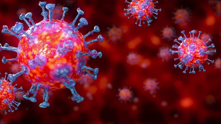 Perlu Tahu! Ini 3 Benteng Utama Agar Terhindar dari Virus Covid-19, Menurut Pakar Kesehatan