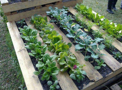 wood projects garden