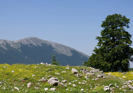 Prontuario Apt e Regione Basilicata su misure di aiuto alla filiera turistica