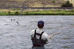 Deschutes Madness