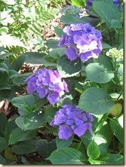 045