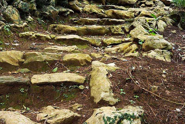 stone stairs along mountain trail