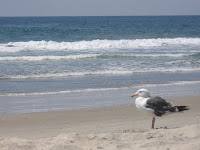 Carlsbad Beach, California, USA